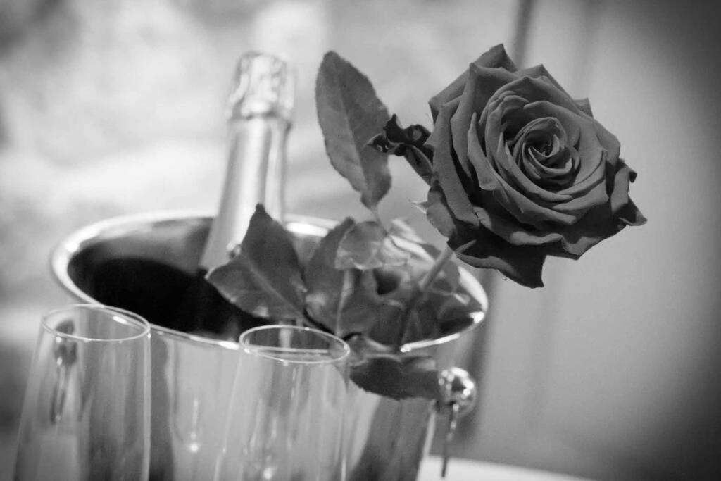 Gite Love Dream - Le Gite Romantique Ger (Manche) Exterior foto